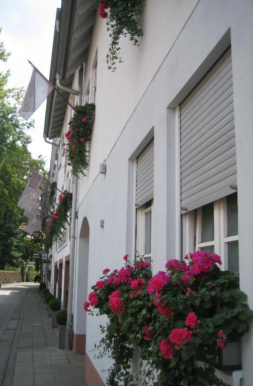 Hotel Wappenstube Erbach  Eksteriør billede
